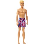 Mattel Ken Beach HPV23 194735168040