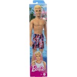 Mattel Ken Beach HPV23 194735168040