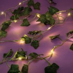 Make It Real 3C4g | Photo Collage And Ivy Fairy Light Set 18032 638241180320
