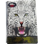 NO FEAR BMU Square 17X25 Sp.2Th.70Ft. White Wolf-Jaguar Ass. 348-11402 5204549156227