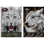 NO FEAR BMU Τετράδιο 17X25 Σπυράλ 2 Θεμάτων 70Φ. White Wolf-Jaguar 348-11402 5204549156227