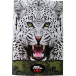 BMU Notebook 17X25cm NO Fear Jaguar-Play Game 348-13400 5204549156258