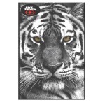 Notebook 17X25cm No Fear Extreme Atv-Tiger 348-04400 5204549145245