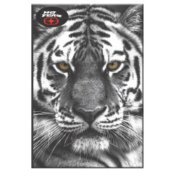 Notebook 17X25cm No Fear Extreme Atv-Tiger 348-04400 5204549145245