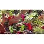 ΜΙΝΩΑΣ Deagostini Insects K Co - Έντομα 90110 9772534994599