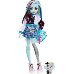 Mattel Monster High Doll, Frankie Stein With Accessories And Pet, Posable Fashion HHK53 194735069781