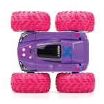 Exost Cross Amazone LED Remote Control Car 7530-20250 5203068202507