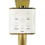 otl technologies Rh0929 Rainbow High Wireless Karaoke Microphone With Built In Speaker  5055371624770