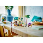 LEGO Disney Asha In The City Of Rosas 43223 5702017424910