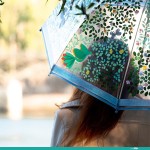 Djeco Adult Umbrella Rare Birds 80Cm. 04721 3070900047211