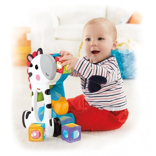 Mattel Ζέβρα Με Κύβους Δραστηριοτήτων CGN63 887961069938