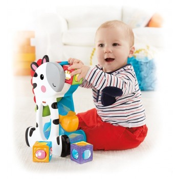 Mattel Ζέβρα Με Κύβους Δραστηριοτήτων CGN63 887961069938
