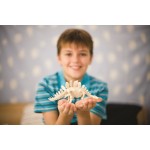 4M Dinosaurs - Volcanoes : Velociraptor Excavation 4M0023 4893156132345