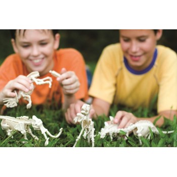 4M Dinosaurs - Volcanoes : Velociraptor Excavation 4M0023 4893156132345