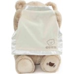 Spin Master Gund: P.Lushes Pets - Peek A Boo Bear Λούτρινο Αρκουδάκι (6069428) 092146 778988600498