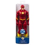 Spin Master DC: Heroes Unite - Action Figure (30Cm) 6056278 778988299333