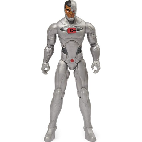 Spin Master DC: Heroes Unite - Action Figure (30Cm) 6056278 778988299333