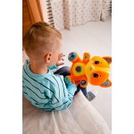 50 50 Games Kids Hits Play With ME Educational Animal Cat 14/001 4897126751956