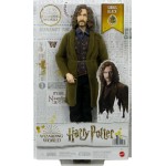 Mattel Harry Potter Sirius Black 30 Cm HCJ34 194735011056