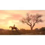 ROCKSTAR GAMES red Dead Redemption ps4  5026555435680