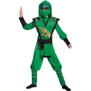 Disquise Lloyd Legacy Deluxe Childrens Costume 105399L 192995005242