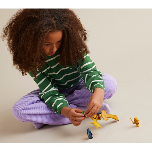 LEGO ninjago επίθεση ανερχόμενου δράκου του άριν 71803 5702017565538