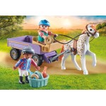 Playmobil Horses Of Waterfall Pony Carriage 71496 4008789714961