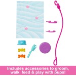 Mattel Barbie Doll and Accessories HTK37 194735192243