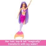 Mattel Barbie A Touch of Magic Doll and Accessories HRP97 194735183630