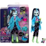 Mattel Monster High Doll And Sleepover Accessories, Frankie Stein With Pet Dog Watzie, Creepover Party HKY68 194735110698