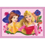 Clementoni Childrens Puzzle 4 In 1 Supercolor Disney Princesses 12-16-20-24 Pcs 1200-21517 8005125215171
