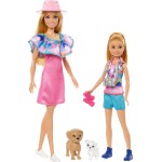 Mattel Barbie & Stacie Doll Set With 2 Pet Dogs & Accessories HRM09 194735180349
