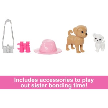 Mattel Barbie & Stacie Doll Set With 2 Pet Dogs & Accessories HRM09 194735180349