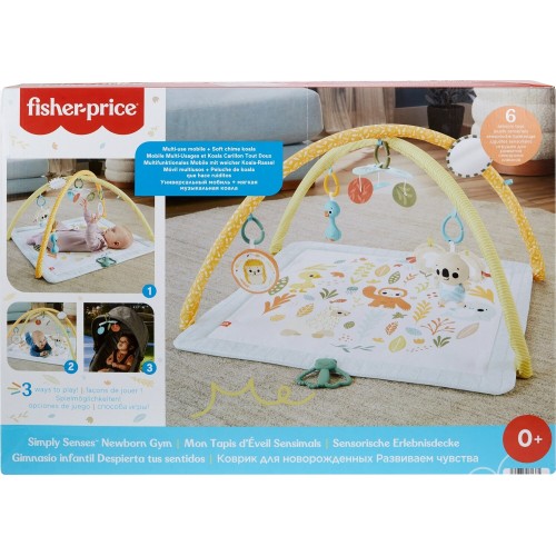 Mattel Simply Senses Γυμναστήριο - Οι Πρώτες Του Αισθήσεις HRB15 194735171385