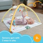 Mattel Simply Senses Γυμναστήριο - Οι Πρώτες Του Αισθήσεις HRB15 194735171385