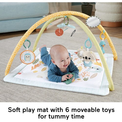 Mattel Simply Senses Γυμναστήριο - Οι Πρώτες Του Αισθήσεις HRB15 194735171385