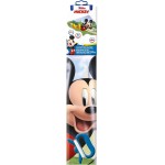 Gunther Childrens Dragon Disney Micky Mouse, Completely Ready For Flight With Diaper Handle And Cord, Inlet Kites Made 1110 4001
