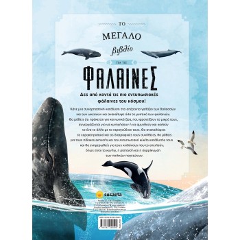 susaeta The Big Book of Whales 2512 9786182240595