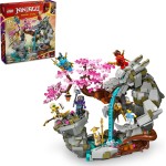 LEGO ninjago πέτρινος βωμός δράκου 71819 5702017584614
