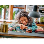 LEGO harry potter ο χέντβιχ™ στην οδό πρίβετ 4 76425 5702017583082