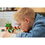 LEGO Animal Crossing Kappns Island Boat Tour 77048 5702017592343