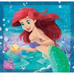 Clementoni Children's Puzzle Super Color Disney Princess 3x48 pcs 1200-25304 8005125253043