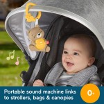 Mattel Fisher-Price Αρκουδάκι Με Ήχους Και Φώτα HRB18 194735171422