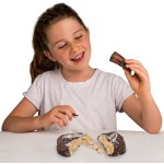 Giochi Preziosi National Geographic Dinosaur Fossil Excavation Set NAT06000 810070623241
