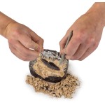 Giochi Preziosi National Geographic Dinosaur Fossil Excavation Set NAT06000 810070623241
