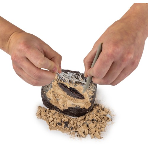 Giochi Preziosi National Geographic Dinosaur Fossil Excavation Set NAT06000 810070623241