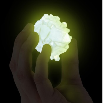 Giochi Preziosi National Geographic Dinosaur Fossil Excavation Set NAT06000 810070623241