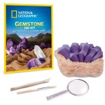 Giochi Preziosi National Geographic Chemical Reactions NAT04000 810070623227
