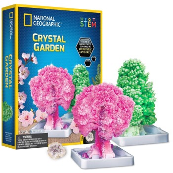 Giochi Preziosi National Geographic Crystal Forest NAT00000 810070623234