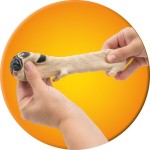 As company Ζουληχτός Σκύλος Pug 1027-64224 5203068642242